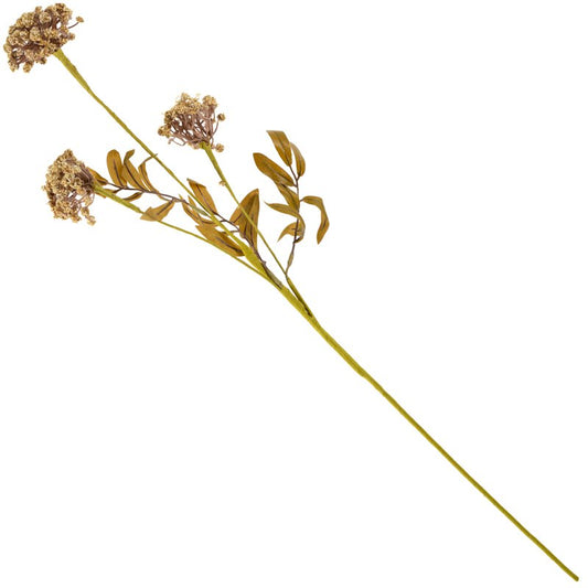 Veldbloem skimmia 80cm beige