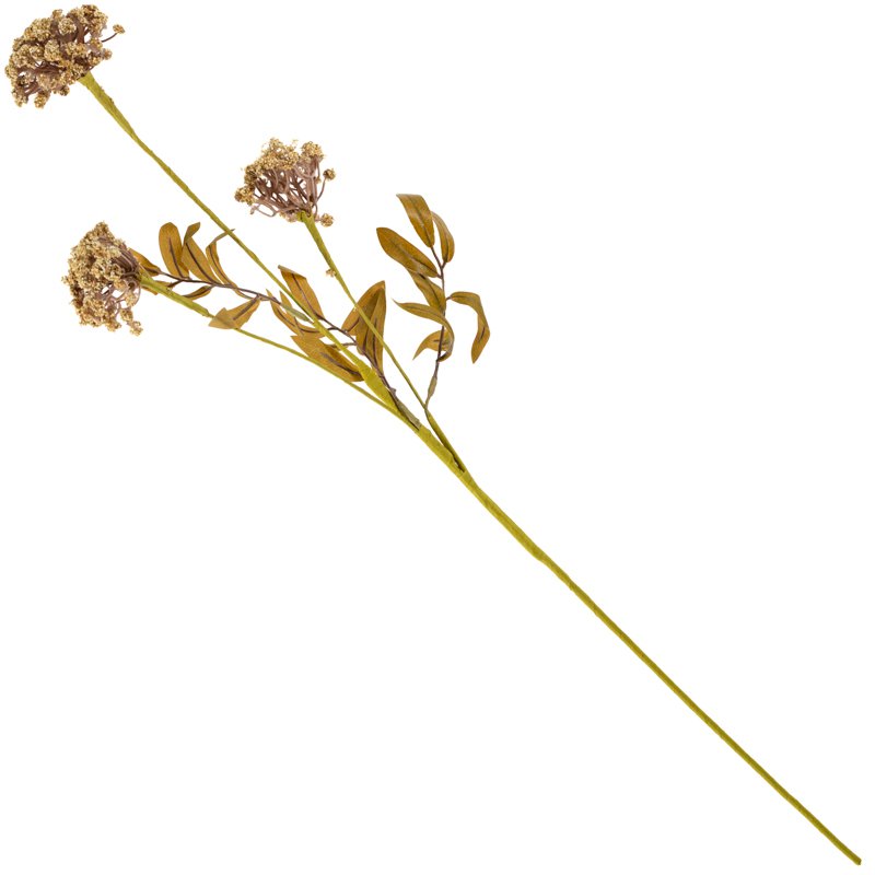 Veldbloem skimmia 80cm beige