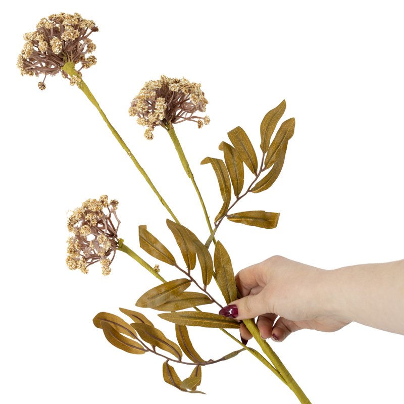 Veldbloem skimmia 80cm beige