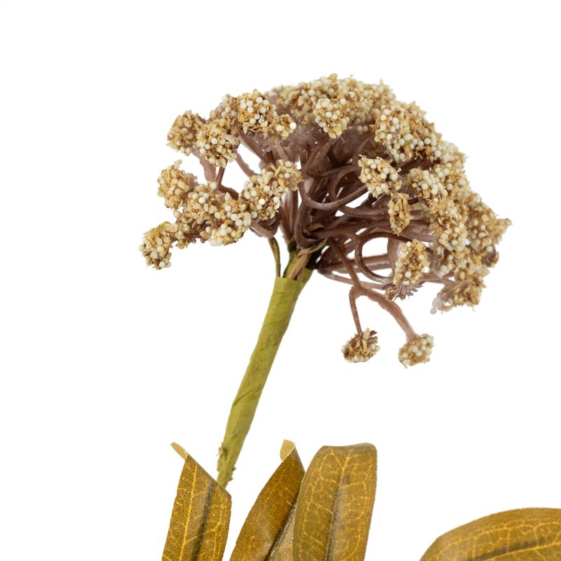 Veldbloem skimmia 80cm beige