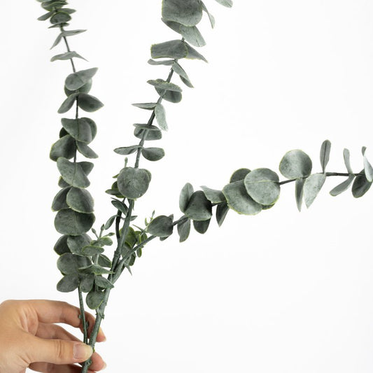 Eucalyptus tak groen