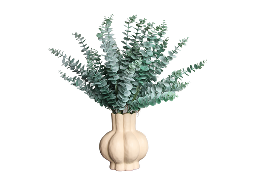 Boeket Eucalyptus