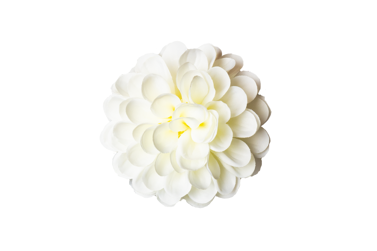 Dahlia - wit