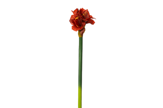 Kunstbloem Amaryllis XL - rood