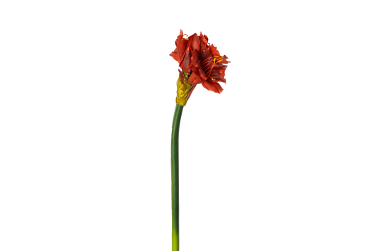Kunstbloem Amaryllis XL - rood
