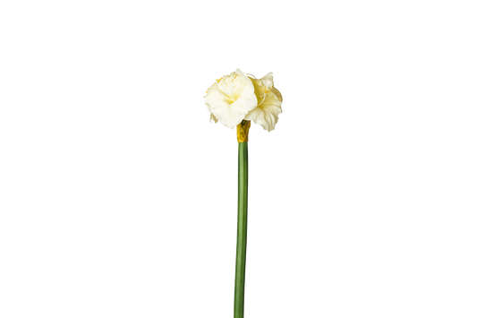 Kunstbloem Amaryllis XL - wit