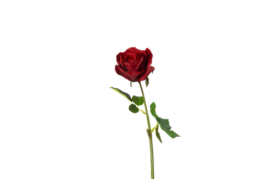 Roos open - rood