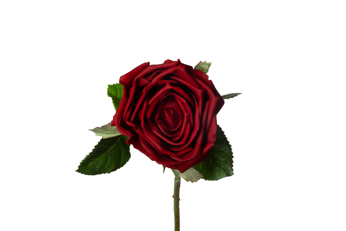 Roos - rood