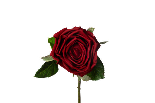 Roos - rood